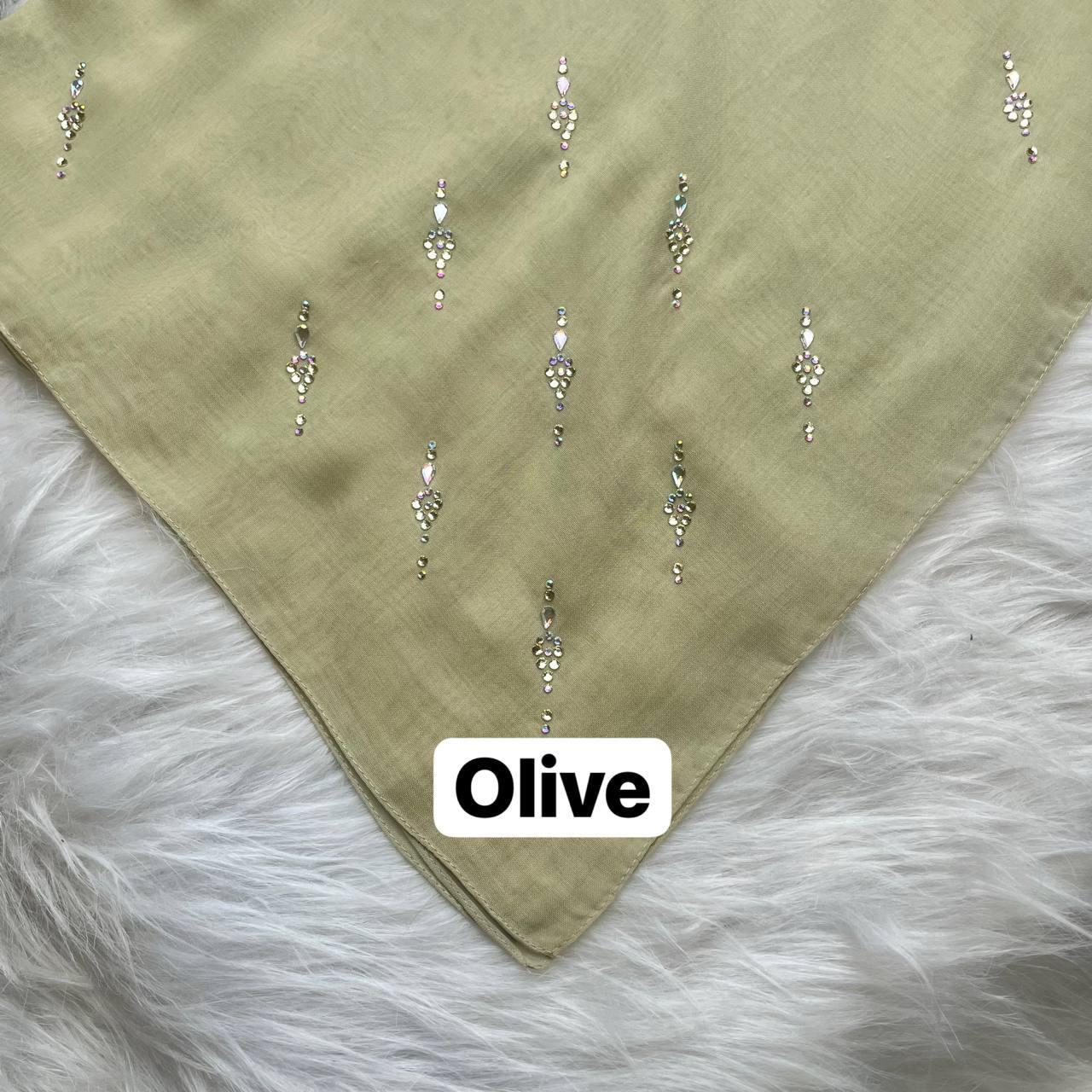 photo_2026-01-19_14-08-36