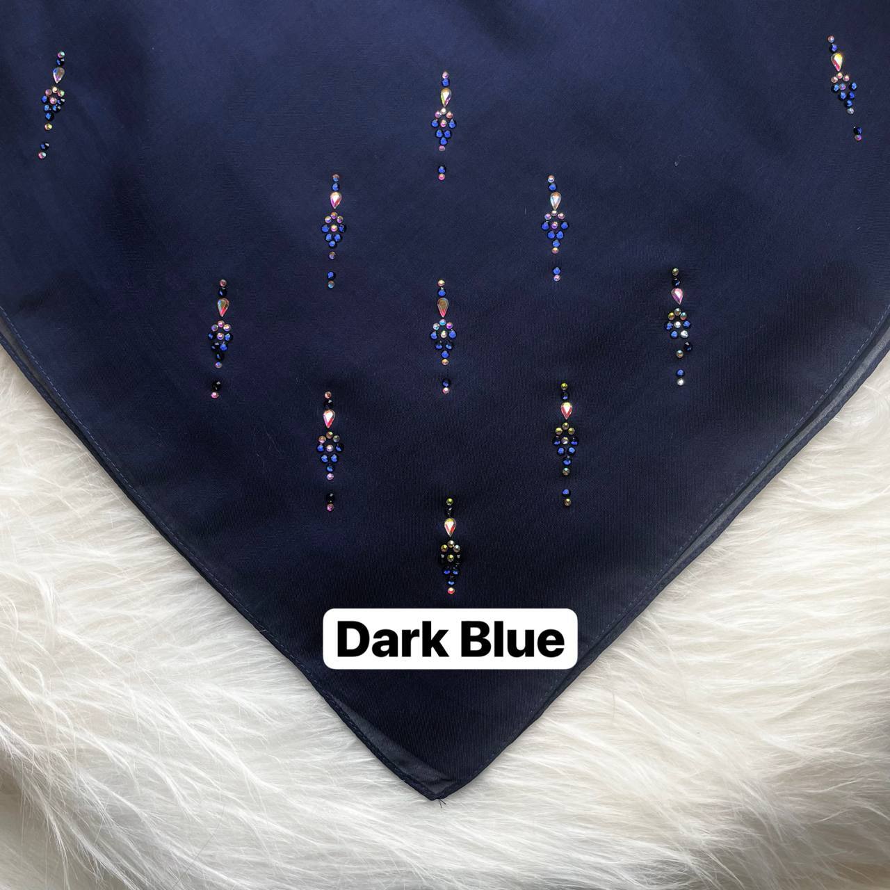 photo_2026-01-19_14-08-32