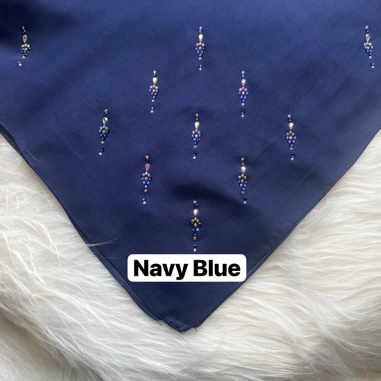 photo_2026-01-19_14-08-29