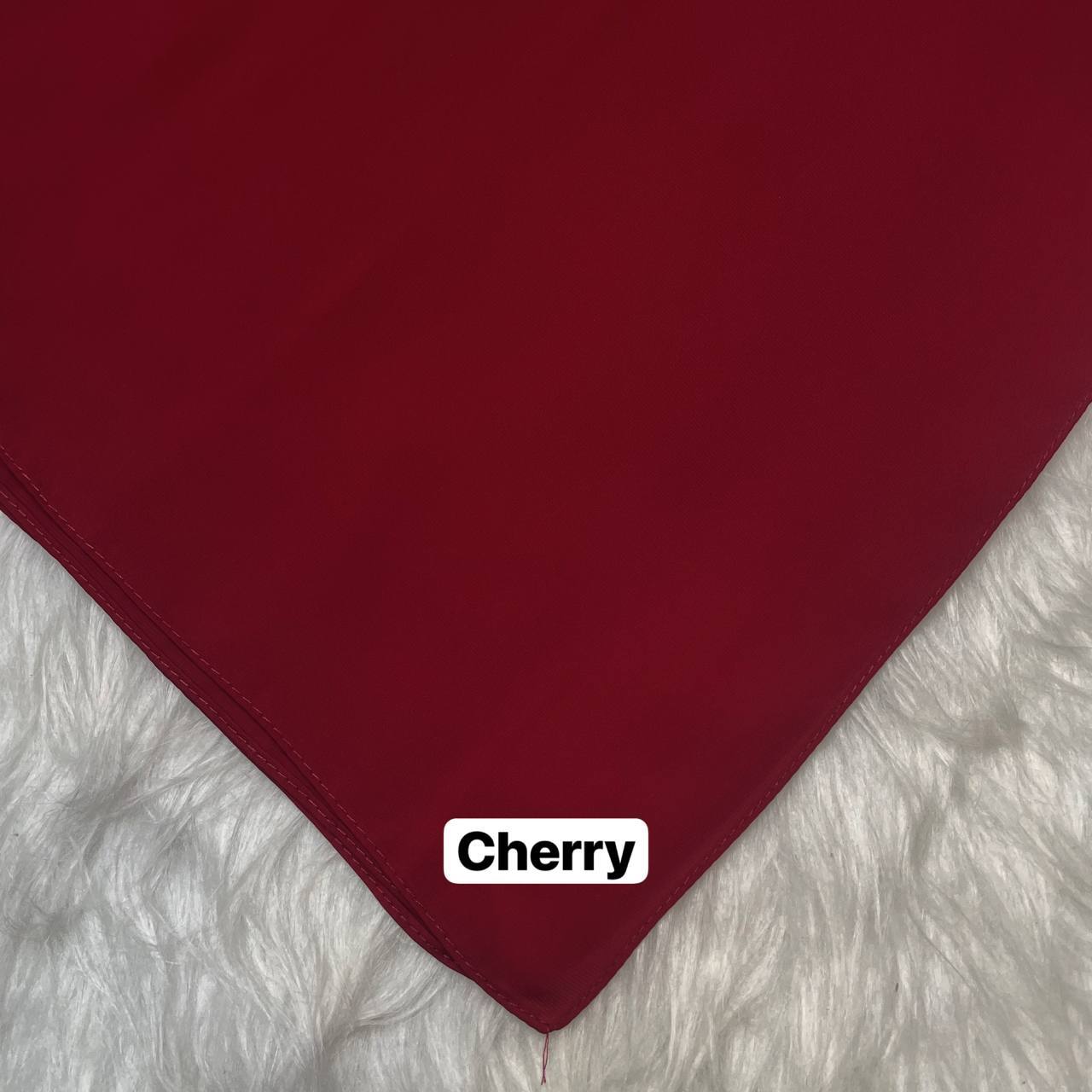 photo_21_2026-02-14_12-24-09