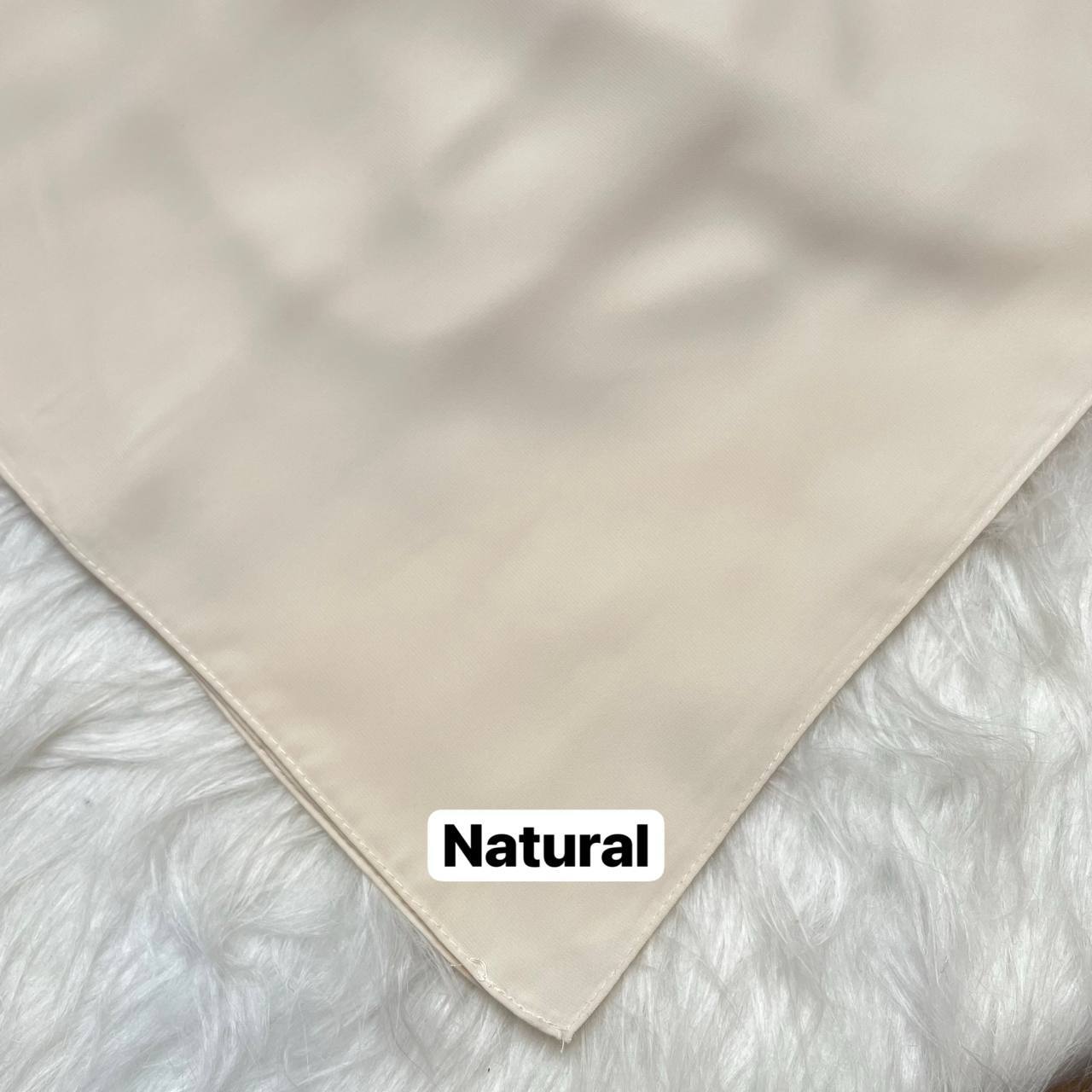 photo_15_2026-02-14_12-24-09