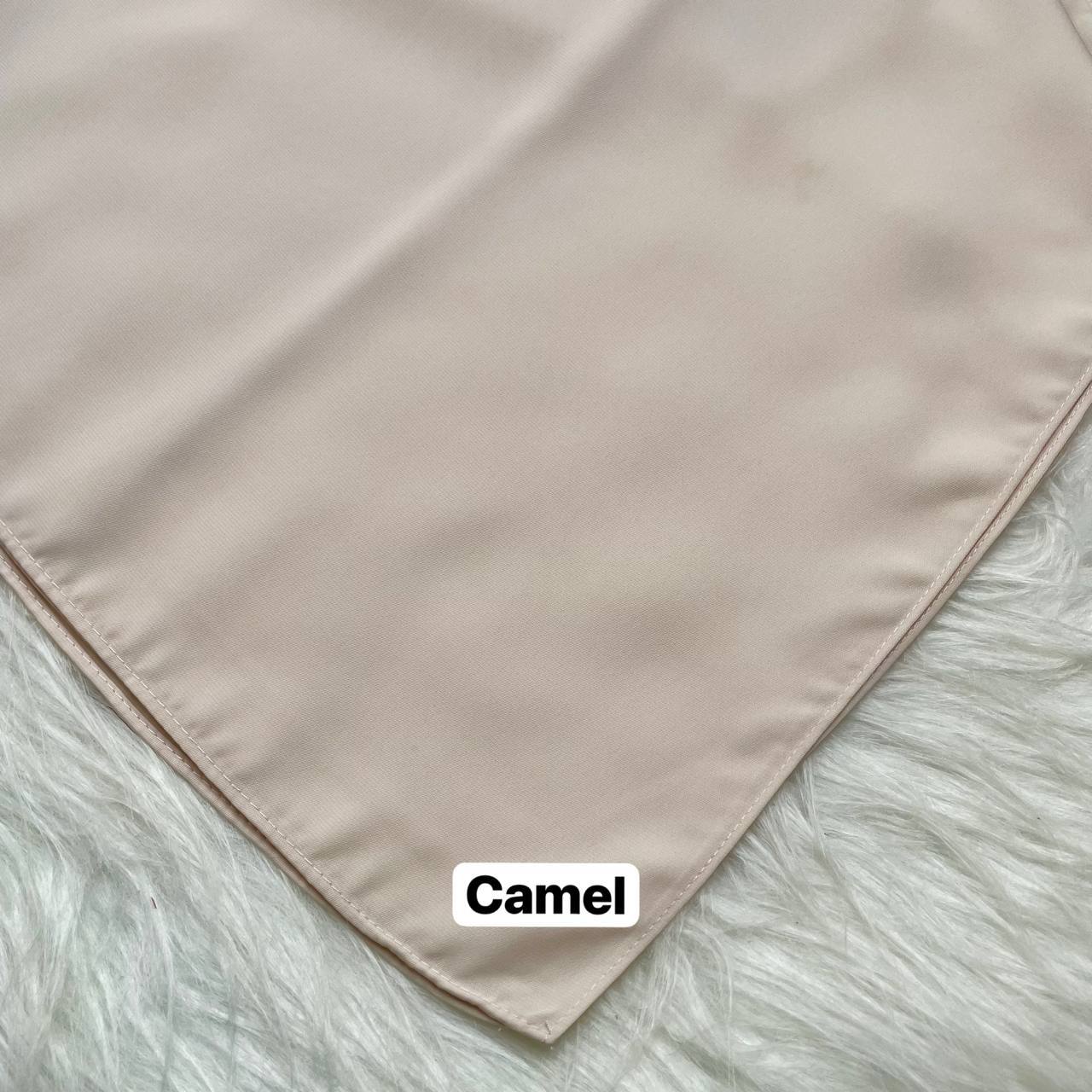 photo_9_2026-02-14_12-24-09