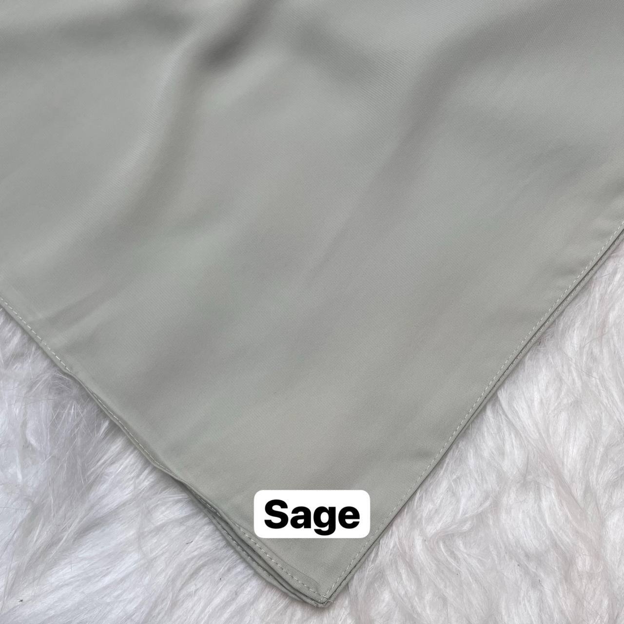 photo_20_2026-02-14_12-24-09