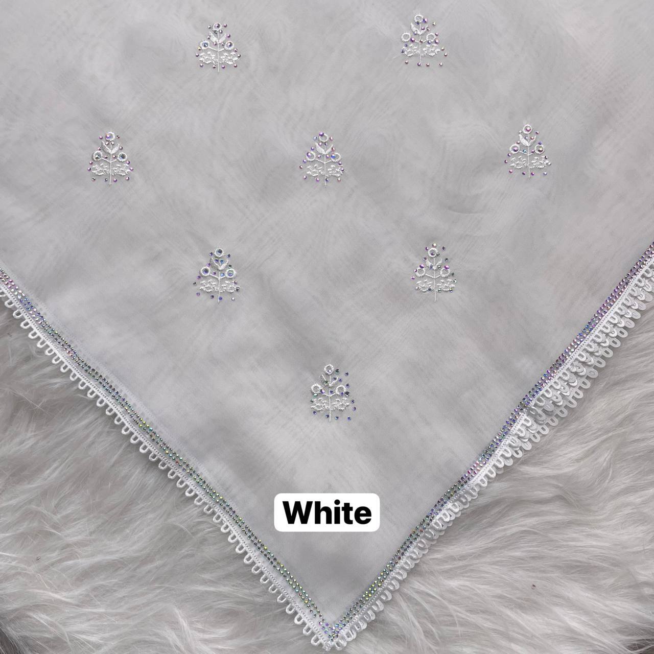 photo_10_2026-02-27_12-45-45