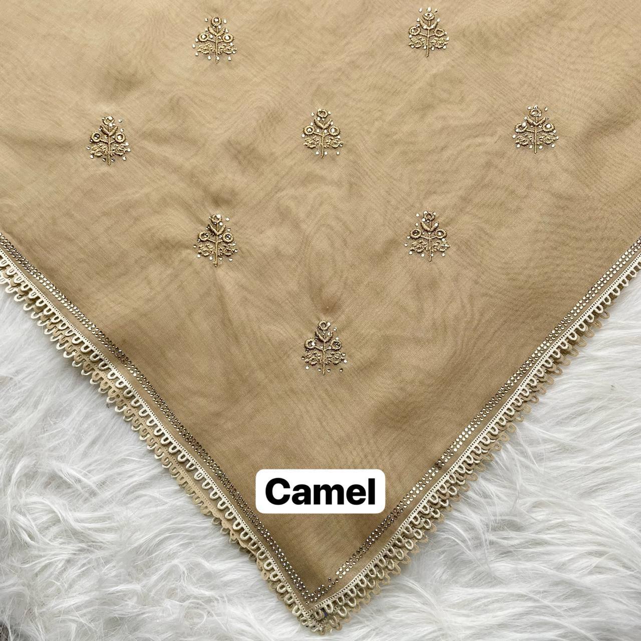 photo_6_2026-02-27_12-45-45