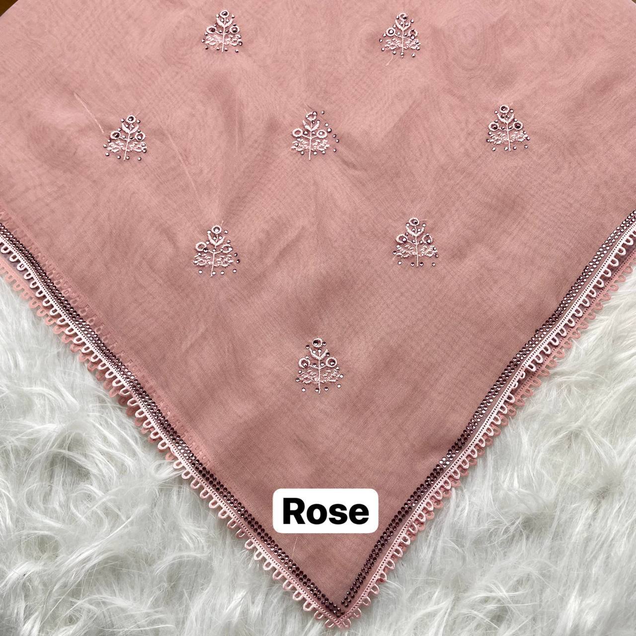 photo_2_2026-02-27_12-45-45