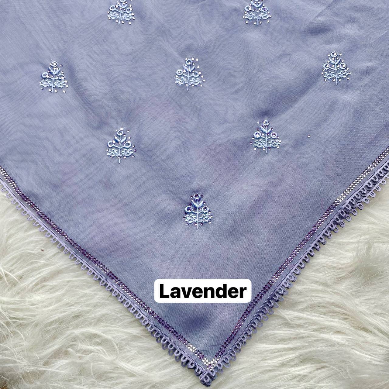 photo_8_2026-02-27_12-45-45