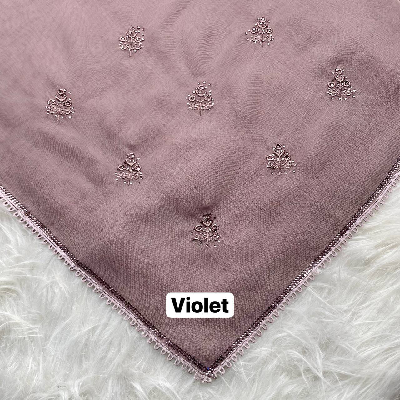 photo_3_2026-02-27_12-45-45