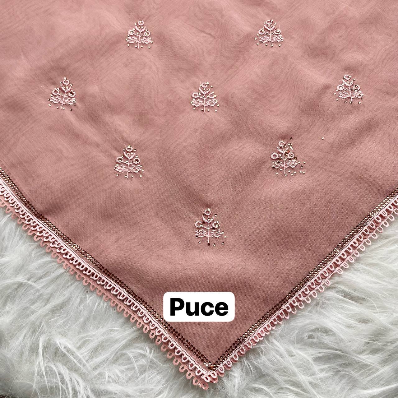 photo_4_2026-02-27_12-45-45