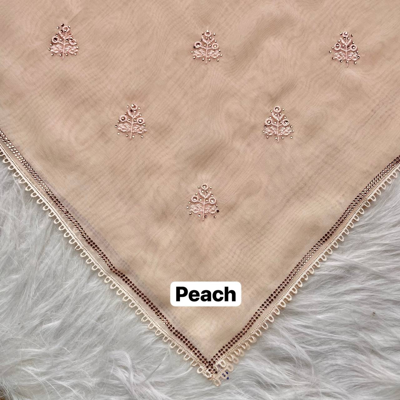 photo_11_2026-02-27_12-45-45