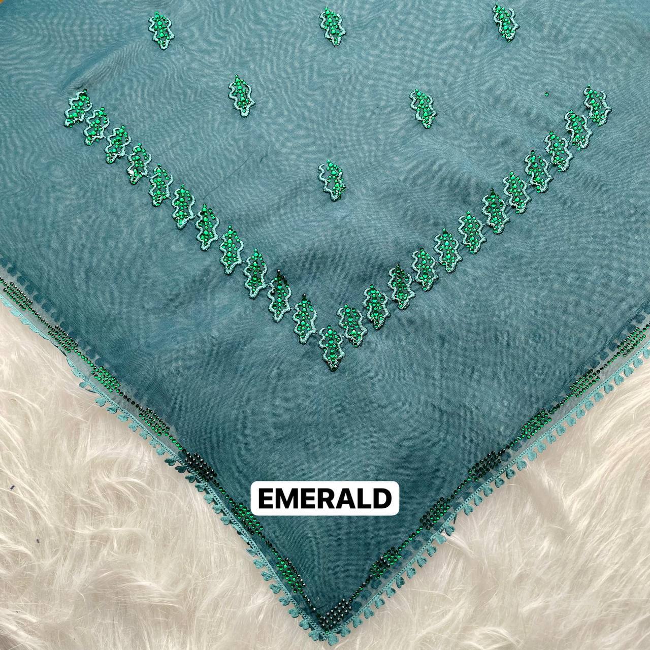 photo_1_2026-02-27_17-01-15