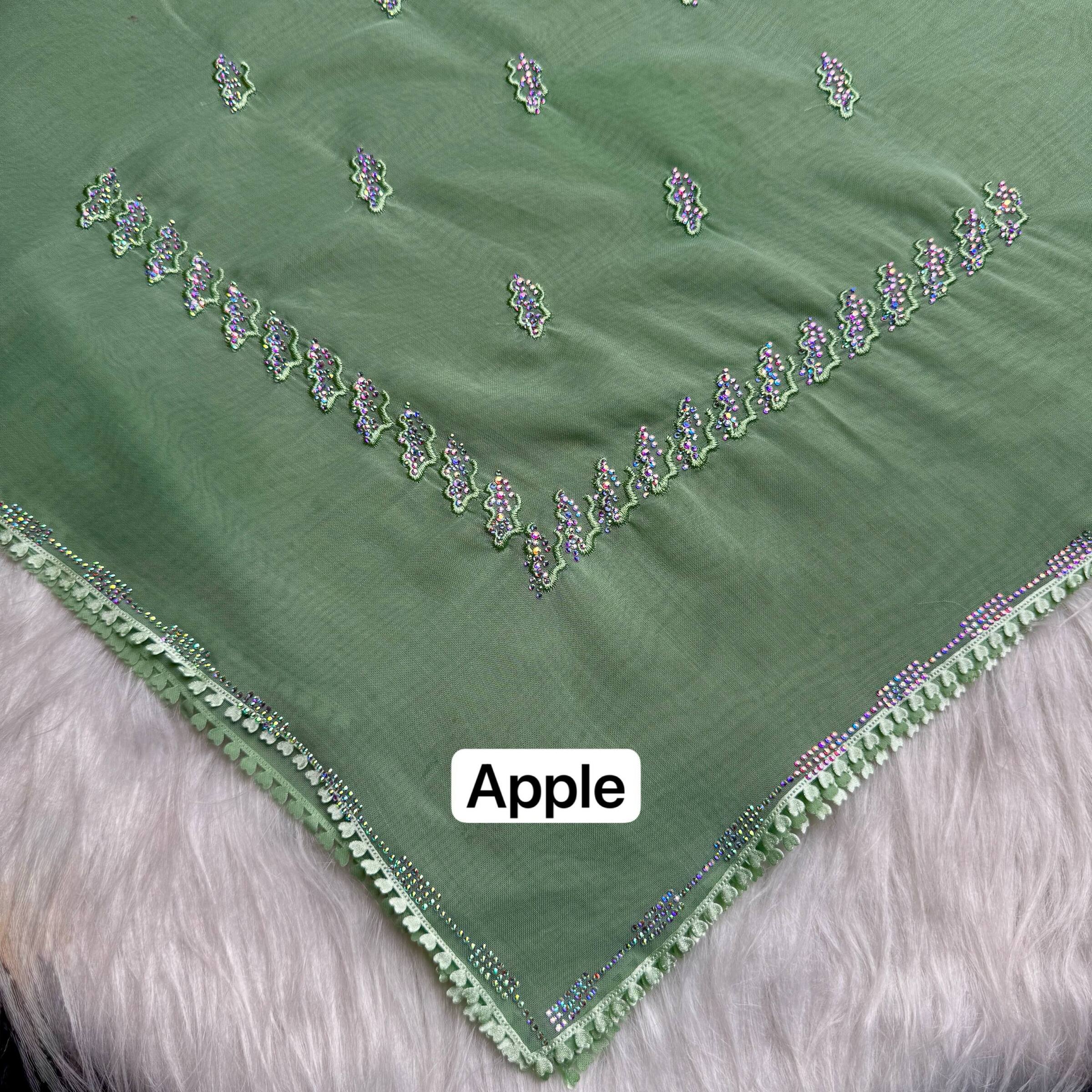 photo_3_2026-02-27_17-01-00