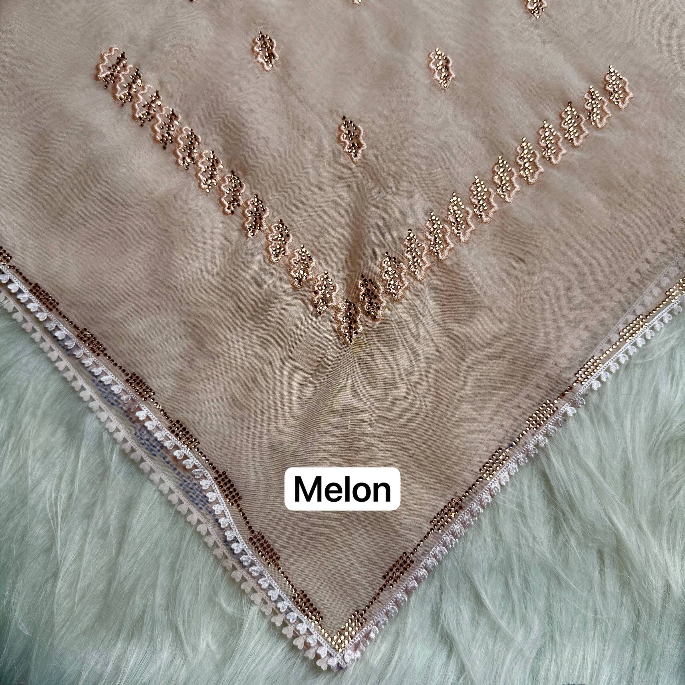 photo_18_2026-02-27_17-01-00