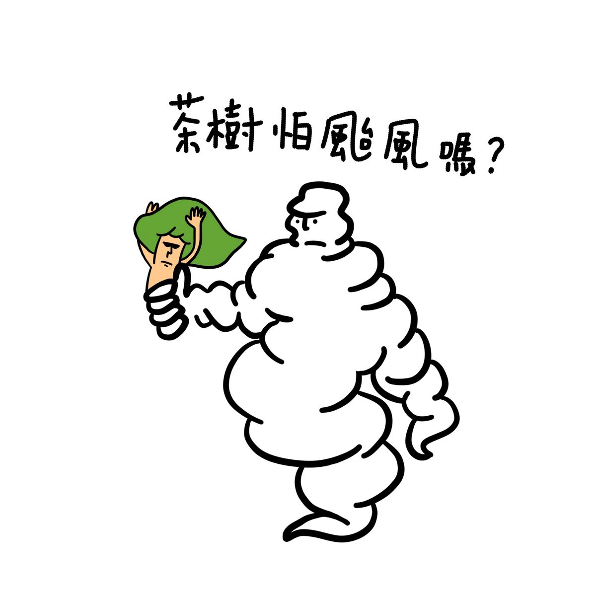 茶樹怕颱風嗎