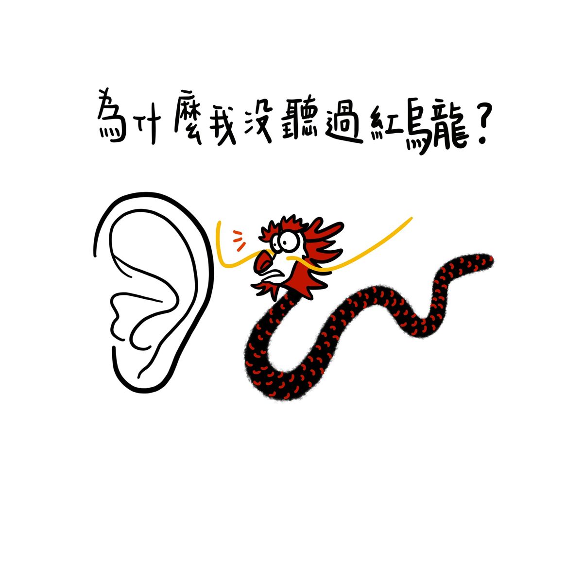 為什麼我沒聽過紅烏龍