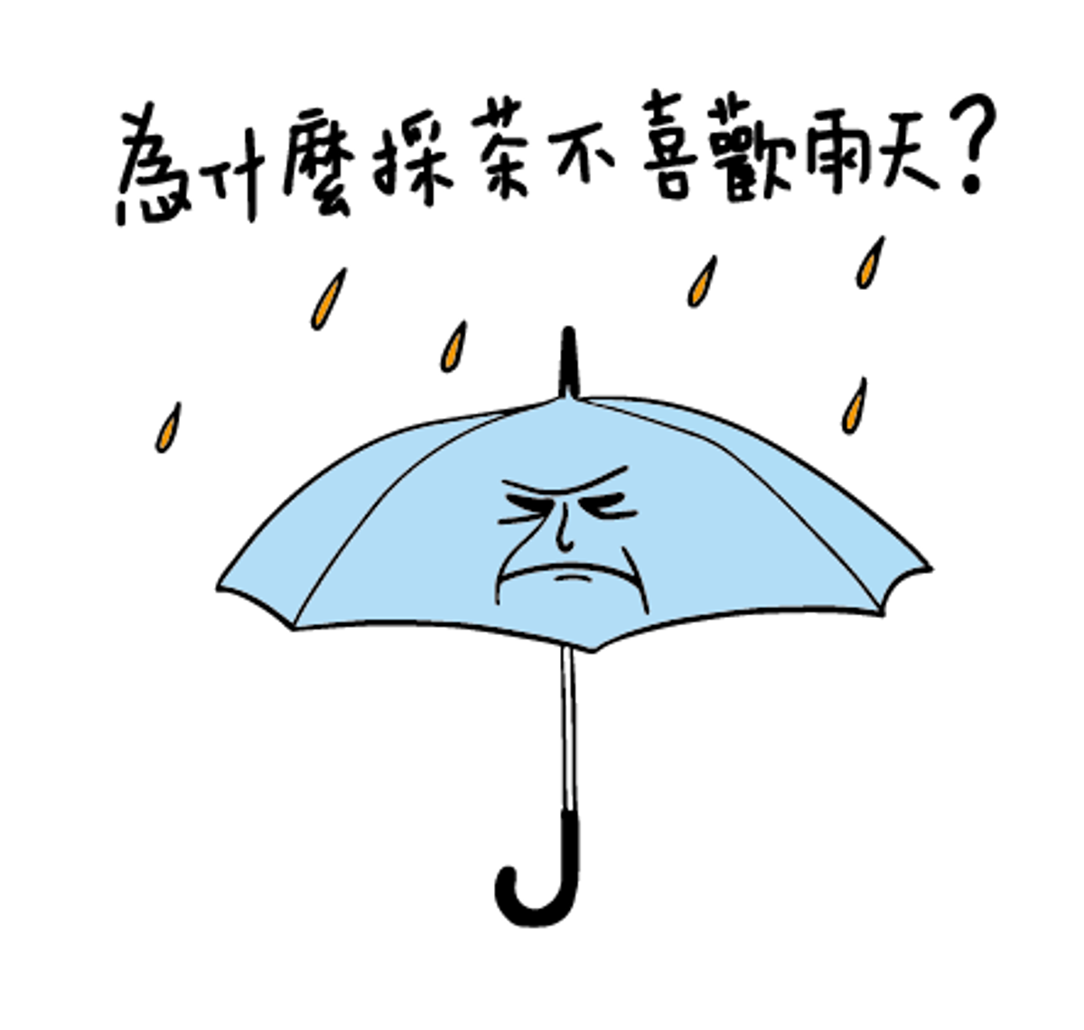 為什麼採茶最怕雨天