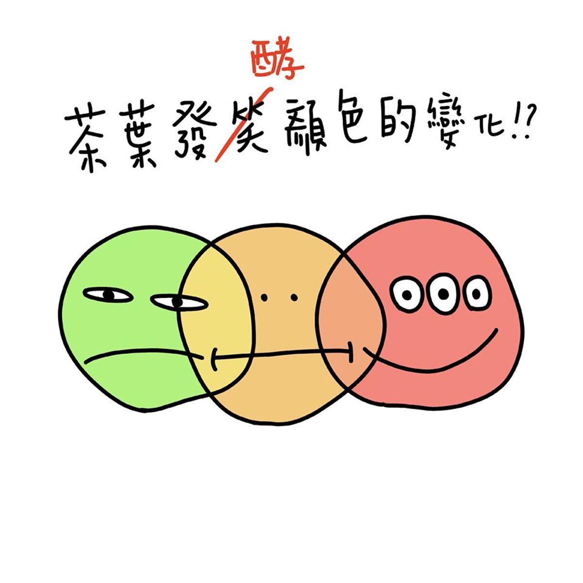 茶葉發酵顏色的變化