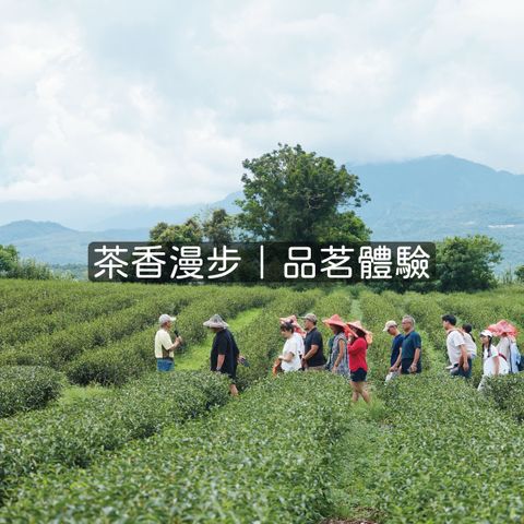 未命名-4_工作區域 1