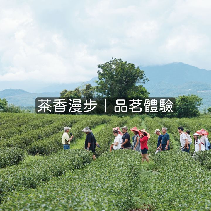 未命名-4_工作區域 1