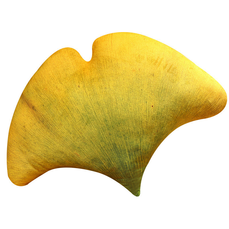 Ginkgo leaf plush pillow with realistic texture and soft plush fabric, ideal for hugging and decorative home use