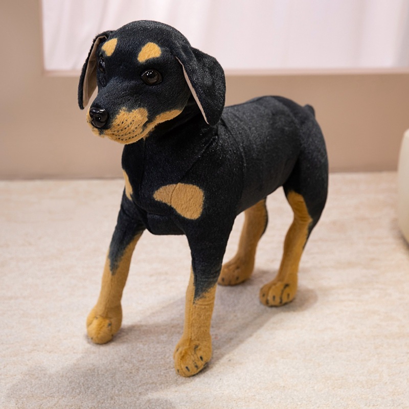 Black & Tan