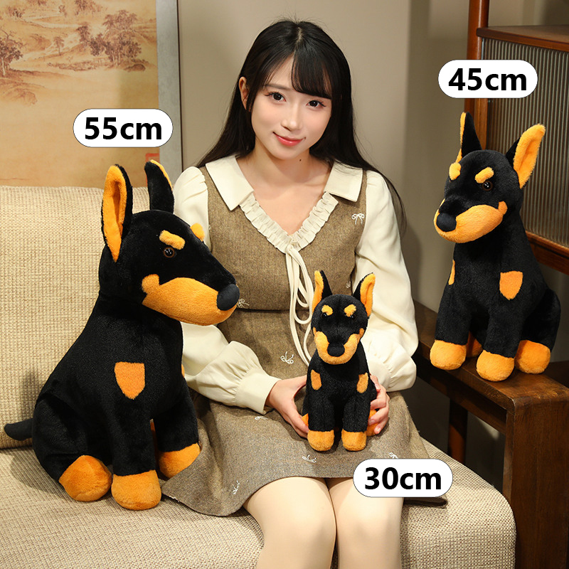 Asset 21-100