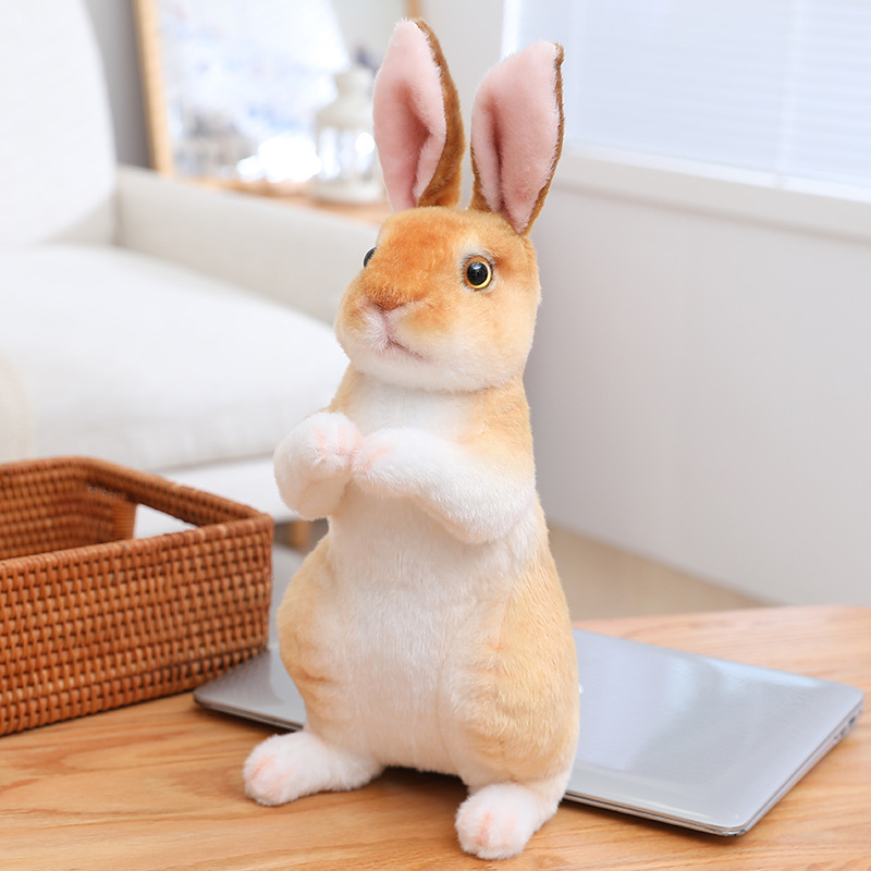 Brown Sitting