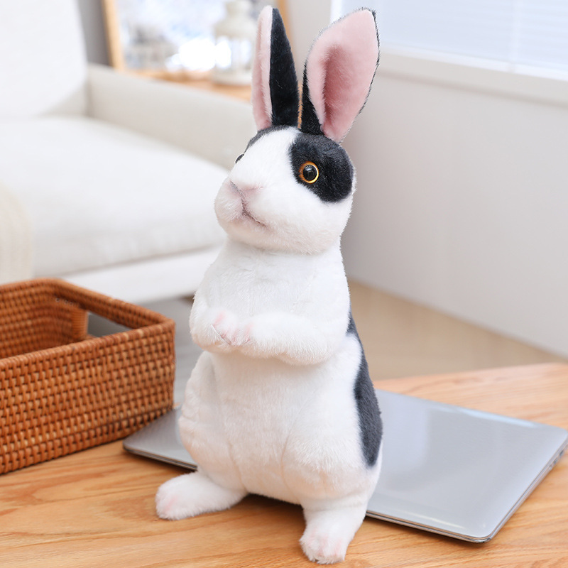 Black & White Sitting