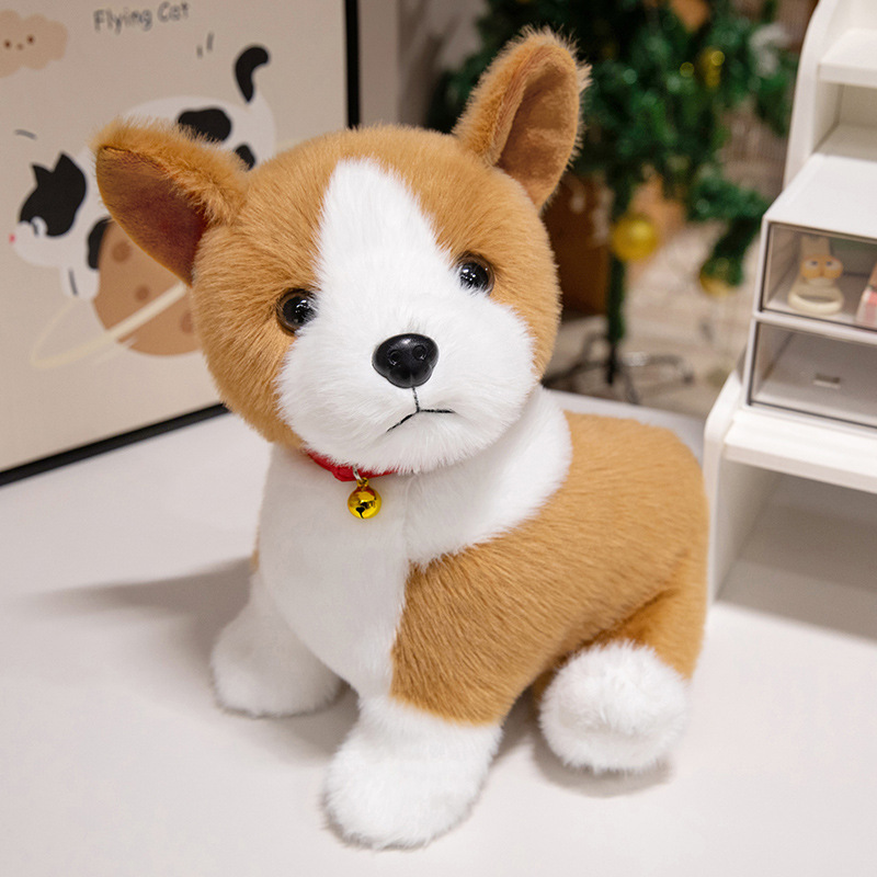 Corgi