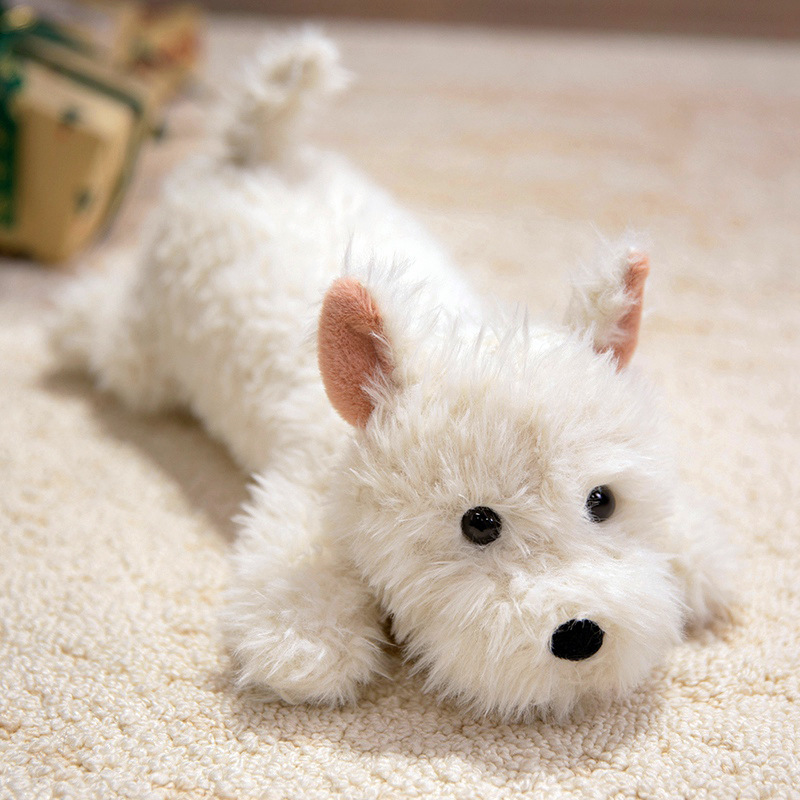 West Highland White Terrier