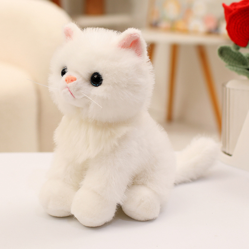 White Cat