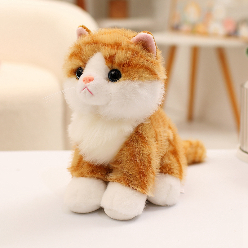 Orange Tabby Cat