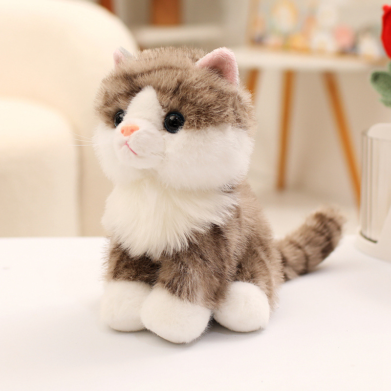 Brown Tabby Cat