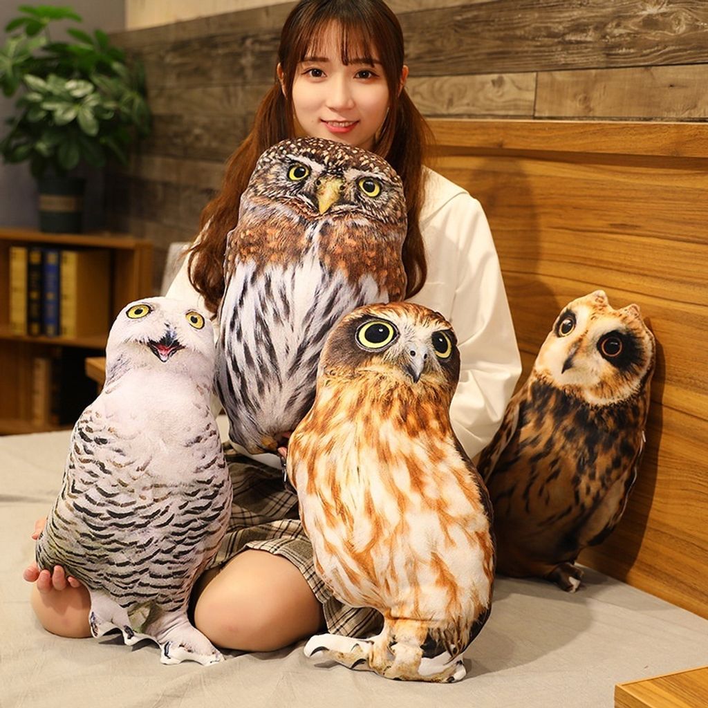 Owl