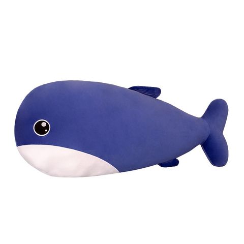 Cute Whale