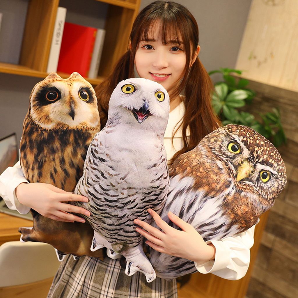 Owl