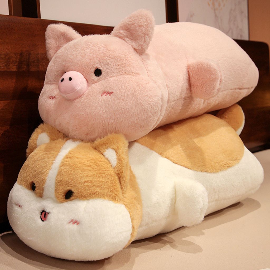 Shiba Inu, Pig