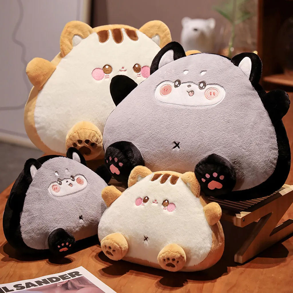 Cat Rice Ball