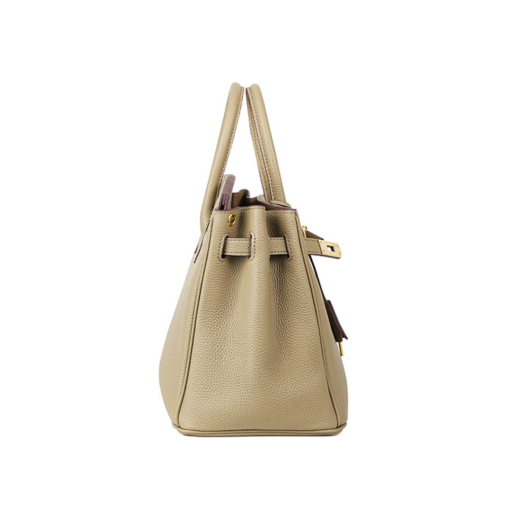 Premium Togo Leather Structured Top Handle Bag – Side View