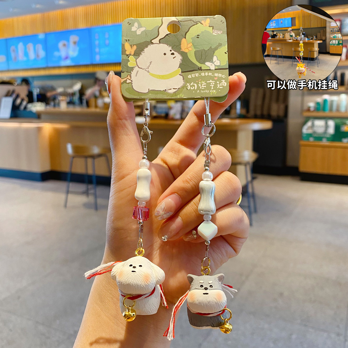 Bichon Frise & Schnauzer Pair