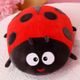 Red Ladybug