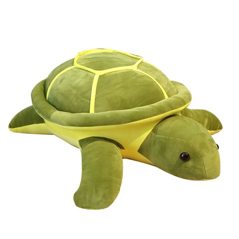 Giant turtle plush pillow on white background