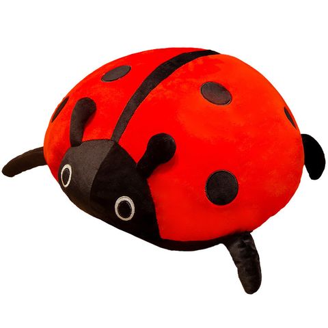 Cute ladybug plush pillow on white background