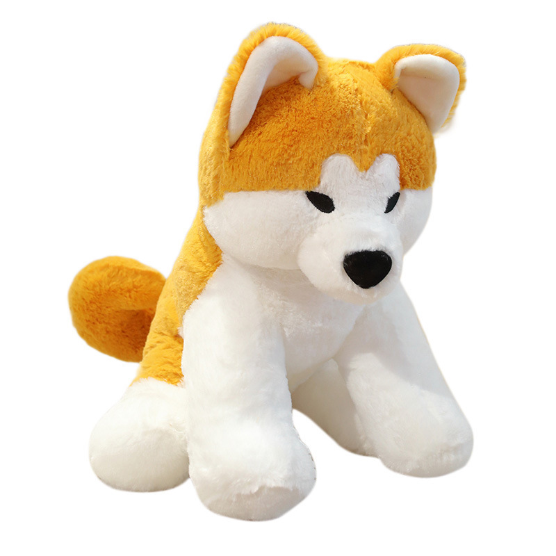 Cute Akita Inu sitting plush toy on white background