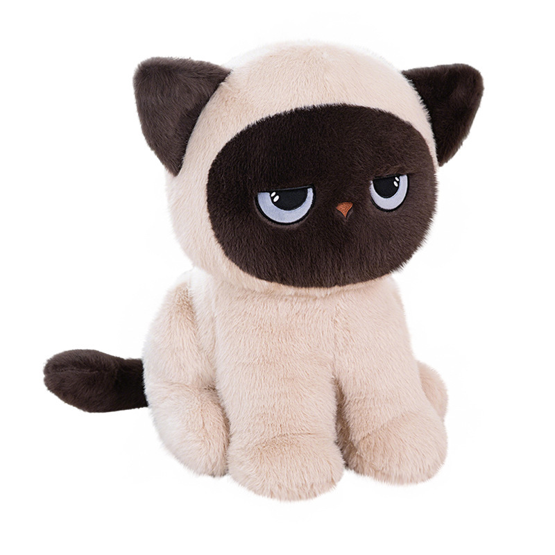 Sitting ragdoll cat plush toy on white background