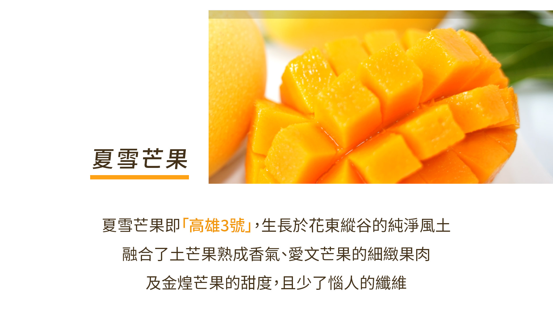 米乖乖一頁式_02