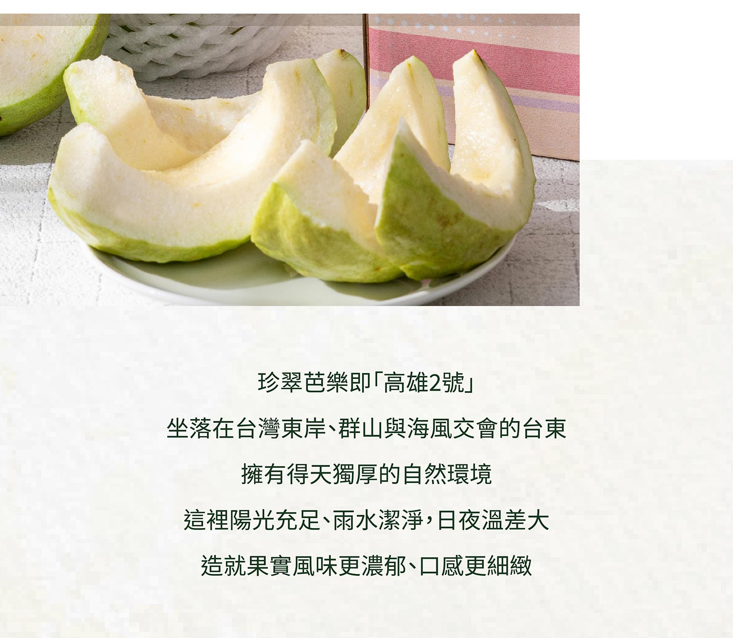 珍翠芭樂商說-01_04