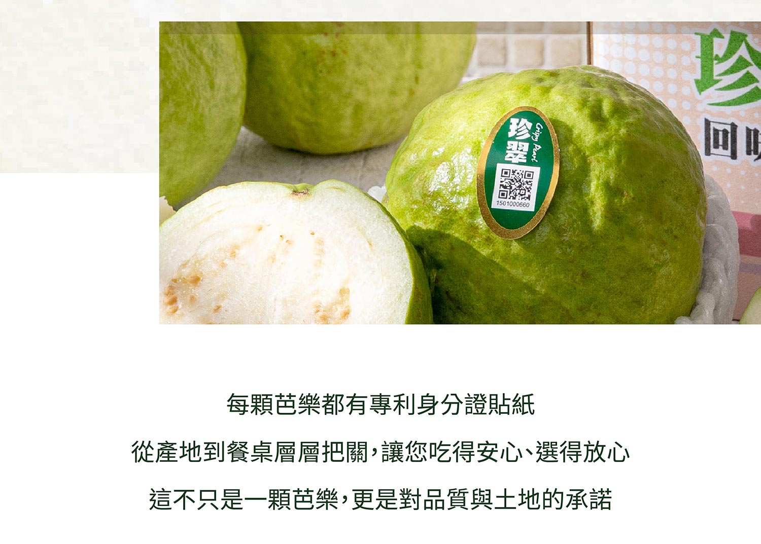 珍翠芭樂商說-01_05