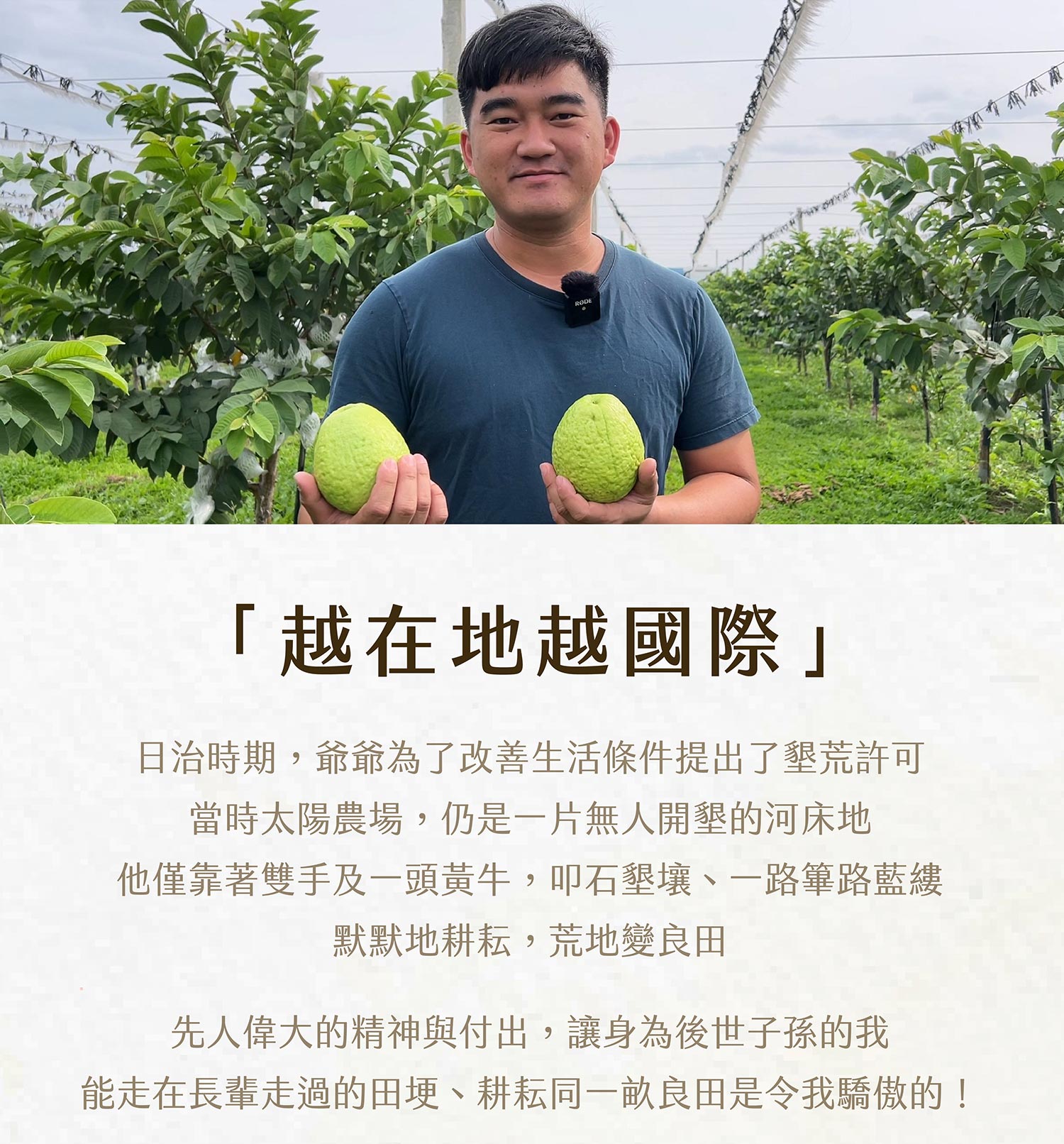 珍翠芭樂商說-01_02