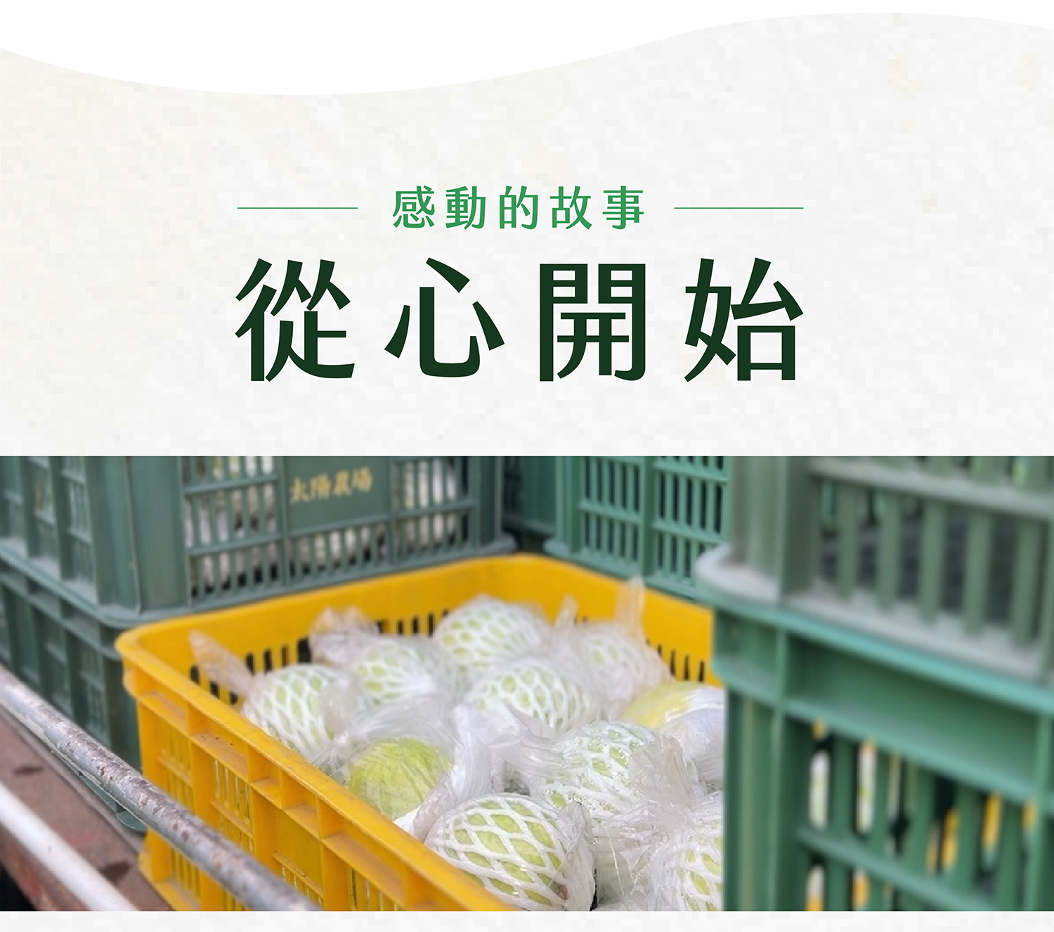 珍翠芭樂商說-02_01